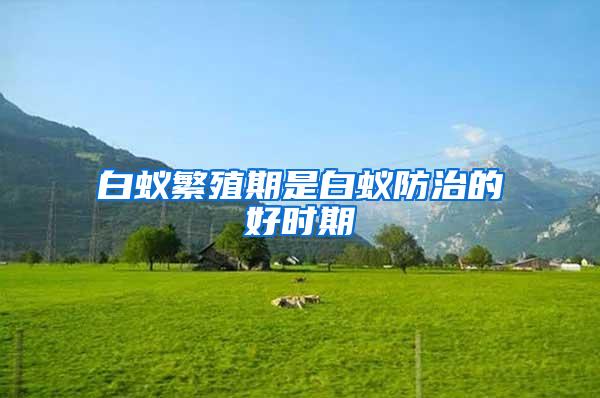 白蟻繁殖期是白蟻防治的好時(shí)期