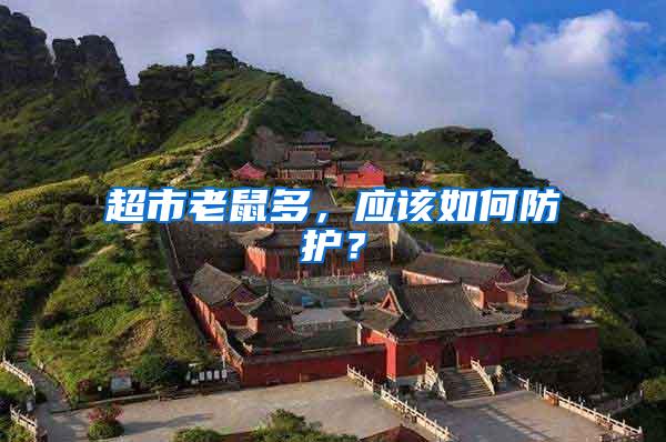 超市老鼠多,應該如何防護?