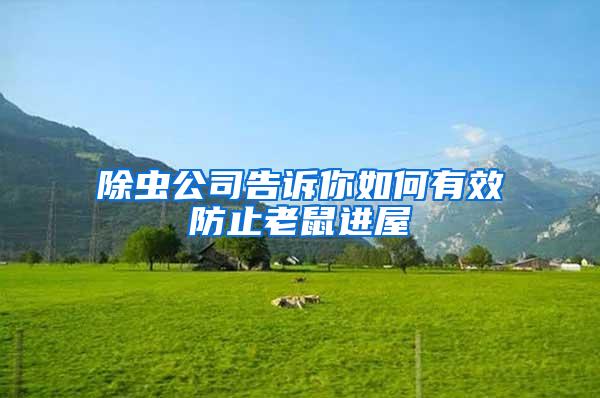 除蟲公司告訴你如何有效防止老鼠進屋