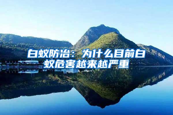 白蟻防冶：為什么目前白蟻危害越來越嚴重