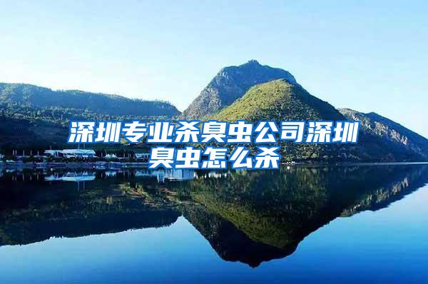深圳專業殺臭蟲公司深圳臭蟲怎么殺