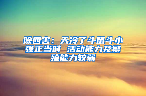 除四害:天冷了斗鼠斗小強正當時 活動能力及繁殖能力較弱