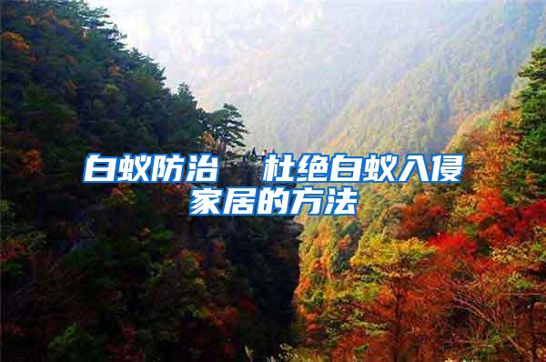 白蟻防治 杜絕白蟻入侵家居的方法