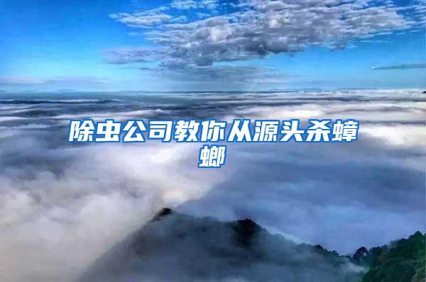 除蟲公司教你從源頭殺蟑螂