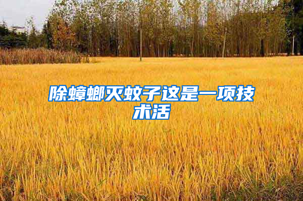 除蟑螂滅蚊子這是一項技術活