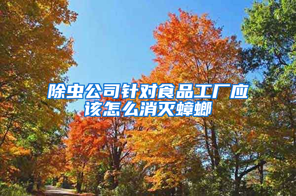 除蟲公司針對食品工廠應該怎么消滅蟑螂