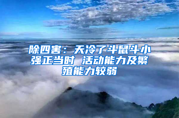 除四害:天冷了斗鼠斗小強(qiáng)正當(dāng)時(shí) 活動(dòng)能力及繁殖能力較弱