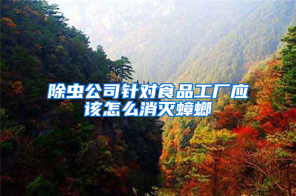 除蟲公司針對(duì)食品工廠應(yīng)該怎么消滅蟑螂