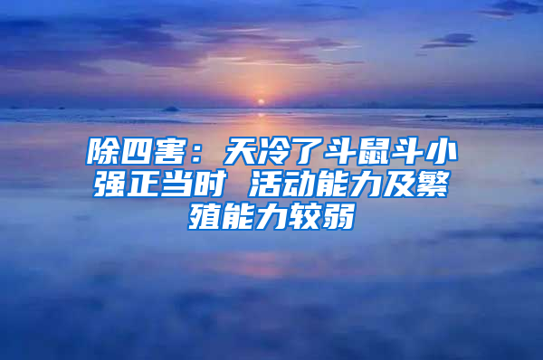 除四害:天冷了斗鼠斗小強正當時 活動能力及繁殖能力較弱