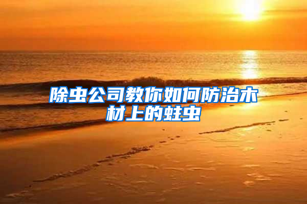 除蟲公司教你如何防治木材上的蛀蟲