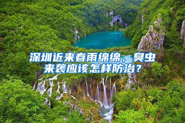 深圳近來春雨綿綿,臭蟲來襲應(yīng)該怎樣防治?