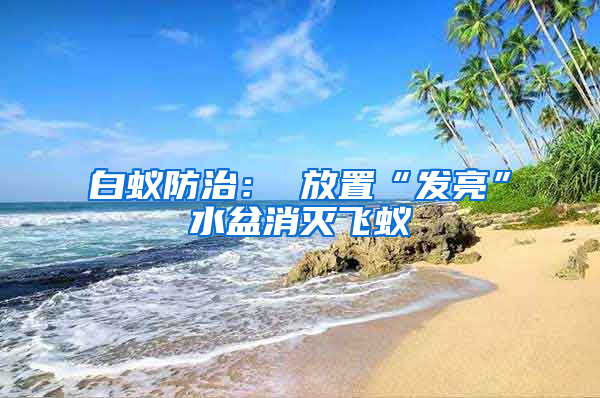 白蟻防治： 放置“發(fā)亮”水盆消滅飛蟻