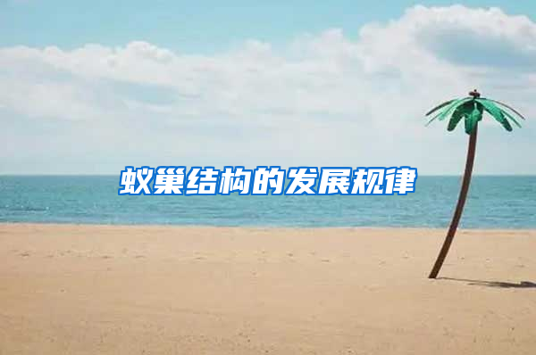 蟻巢結構的發展規律