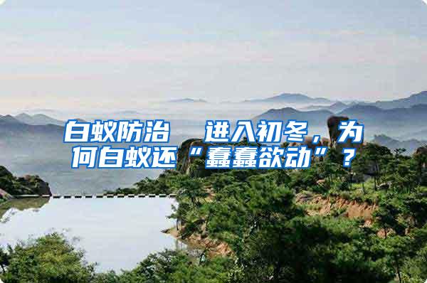 白蟻防治  進(jìn)入初冬，為何白蟻還“蠢蠢欲動(dòng)”？