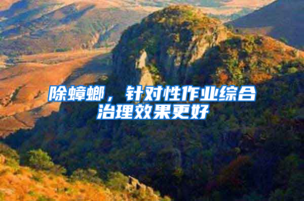 除蟑螂，針對性作業綜合治理效果更好
