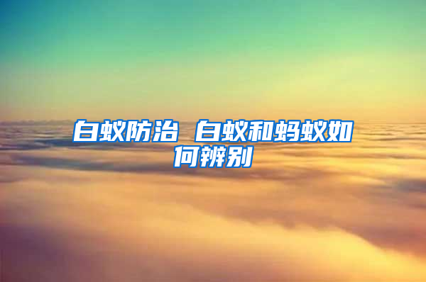 白蟻防治 白蟻和螞蟻如何辨別