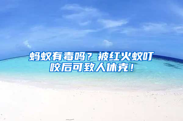 螞蟻有毒嗎?被紅火蟻叮咬后可致人休克!