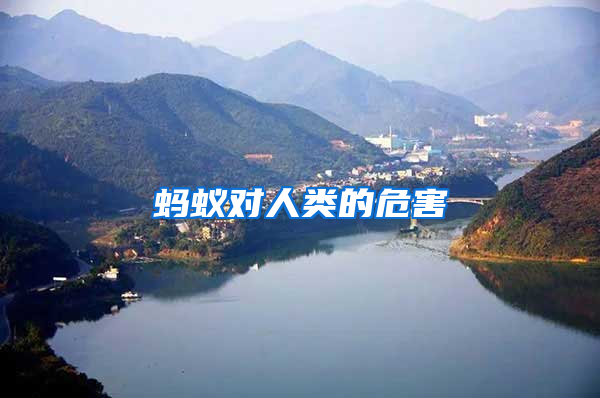 螞蟻對人類的危害