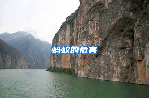 螞蟻的危害