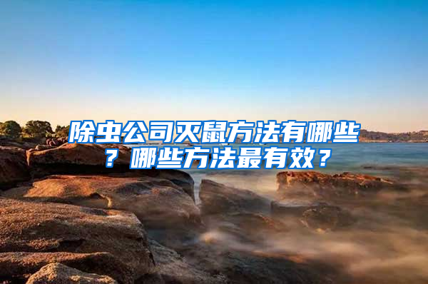 除蟲公司滅鼠方法有哪些？哪些方法最有效？