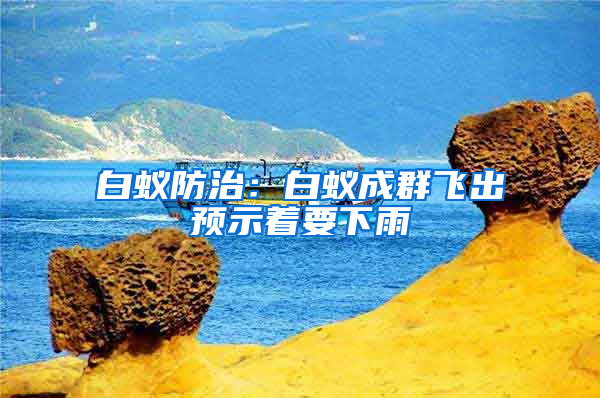 白蟻防治：白蟻成群飛出預示著要下雨