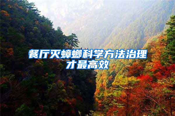 餐廳滅蟑螂科學方法治理才最高效