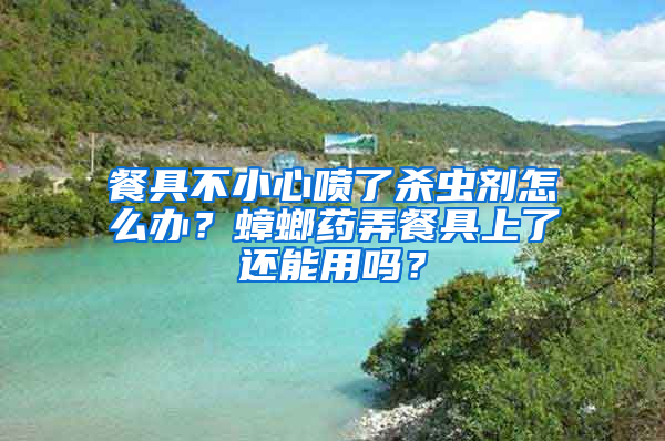 餐具不小心噴了殺蟲(chóng)劑怎么辦？蟑螂藥弄餐具上了還能用嗎？