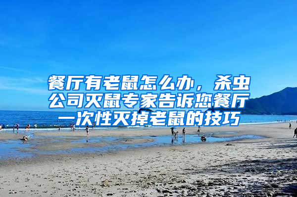 餐廳有老鼠怎么辦，殺蟲公司滅鼠專家告訴您餐廳一次性滅掉老鼠的技巧