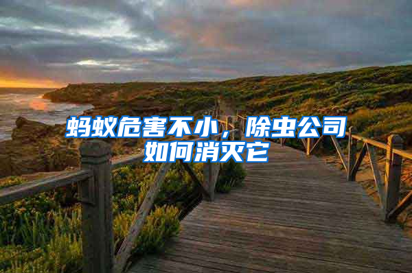 螞蟻危害不小,除蟲公司如何消滅它
