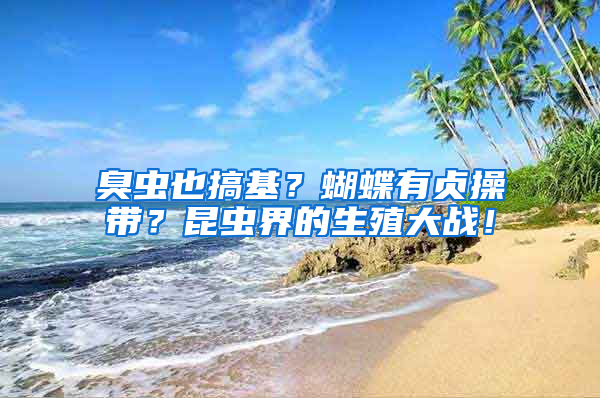 臭蟲也搞基？蝴蝶有貞操帶？昆蟲界的生殖大戰！