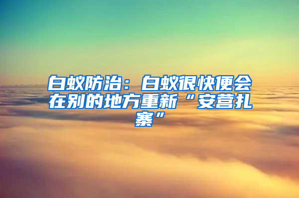 白蟻防治：白蟻很快便會在別的地方重新“安營扎寨”