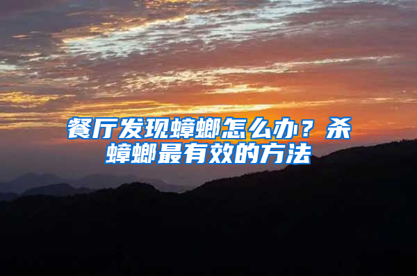 餐廳發(fā)現(xiàn)蟑螂怎么辦?殺蟑螂最有效的方法