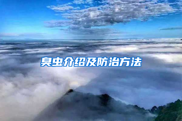 臭蟲介紹及防治方法