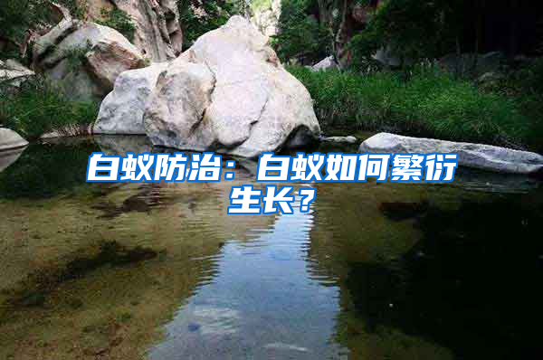 白蟻防治:白蟻如何繁衍生長?