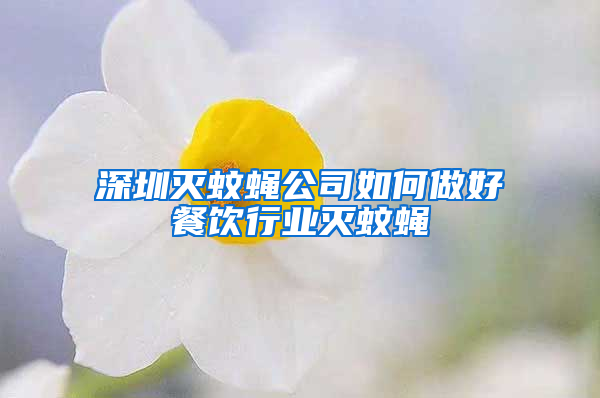 深圳滅蚊蠅公司如何做好餐飲行業(yè)滅蚊蠅