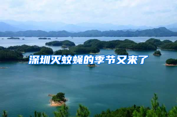 深圳滅蚊蠅的季節又來了