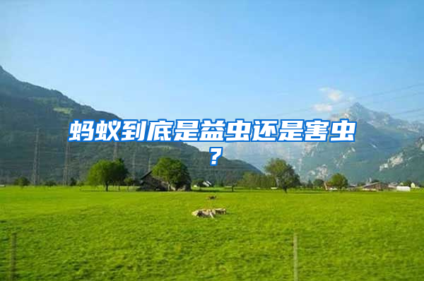 螞蟻到底是益蟲還是害蟲？