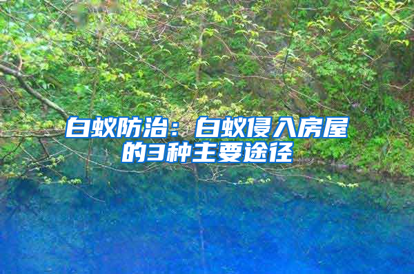 白蟻防治：白蟻侵入房屋的3種主要途徑