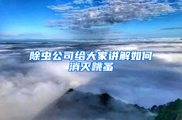 除蟲公司給大家講解如何消滅跳蚤