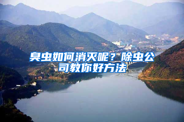 臭蟲如何消滅呢？除蟲公司教你好方法
