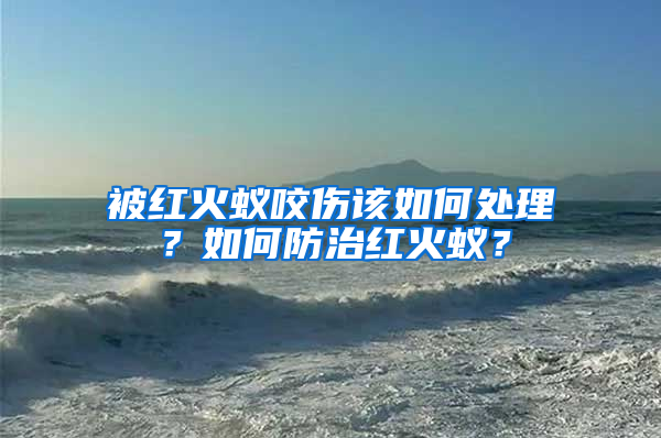 被紅火蟻咬傷該如何處理?如何防治紅火蟻?