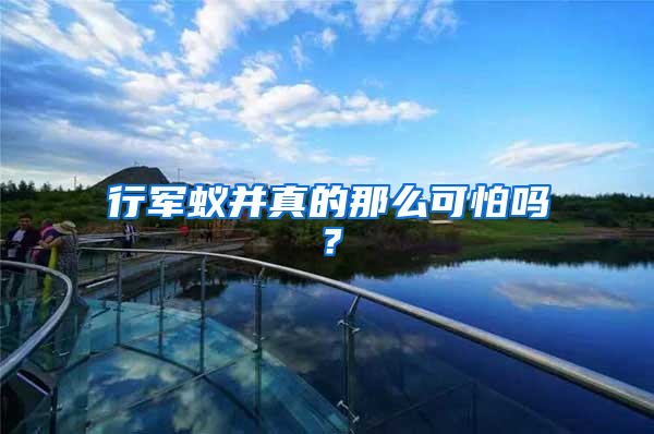 行軍蟻并真的那么可怕嗎?