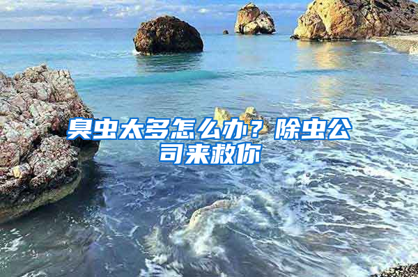 臭蟲太多怎么辦？除蟲公司來救你