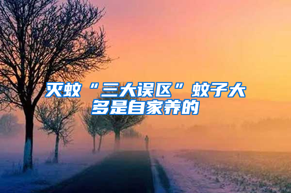 滅蚊“三大誤區”蚊子大多是自家養的