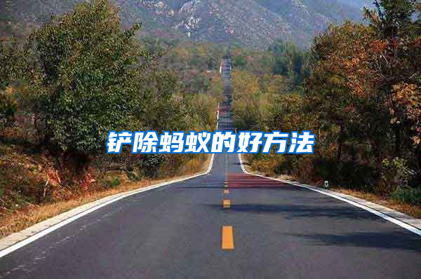 鏟除螞蟻的好方法
