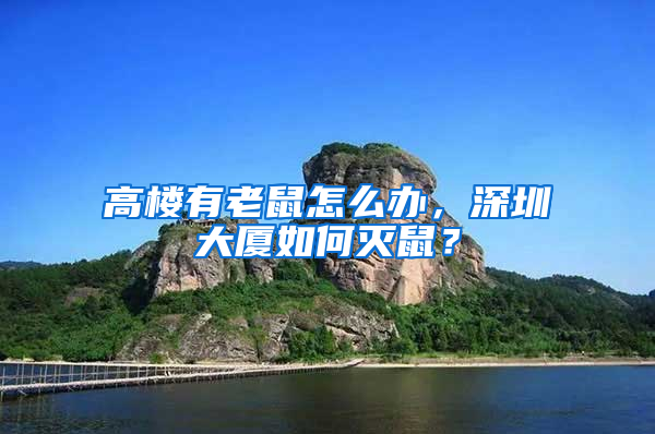 高樓有老鼠怎么辦，深圳大廈如何滅鼠？