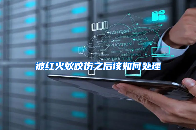 被紅火蟻咬傷之后該如何處理