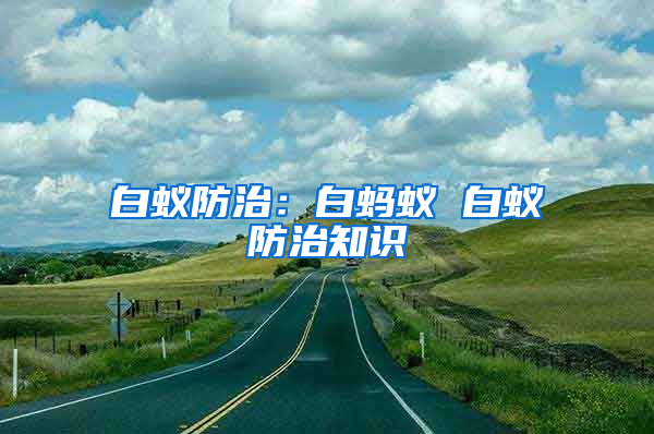 白蟻防治：白螞蟻 白蟻防治知識