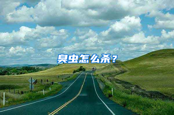 臭蟲怎么殺?