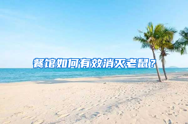 餐館如何有效消滅老鼠?